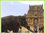 Tanjore Temple