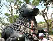  Nandi (Shiva's bull) on Chamundi Hill, Mysore