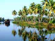 Kerala Backwaters