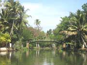 Backwater Kumarkom, Kerala