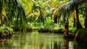 Kollam Backwaters, Kerala