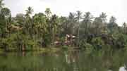 Kottayam Backwaters, Kerala