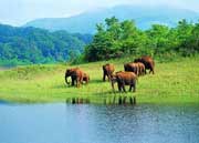 Periyar National Park, Periyar Kerala