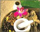 Ayurvedic Resort Kerala