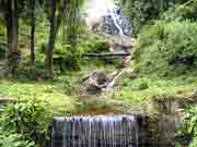 Scenic Beauty of Nilgiri Hills Ooty, Tamilnadu