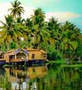 Enchanting Kerala