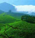 Kerala - God's Own Country